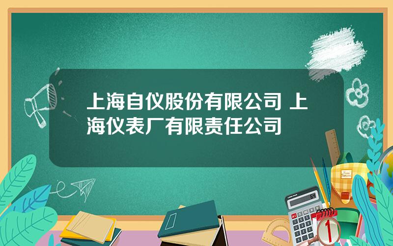 上海自仪股份有限公司 上海仪表厂有限责任公司